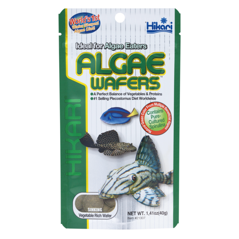 Nourriture poisson de fond Hikari Algae Wafers 40g