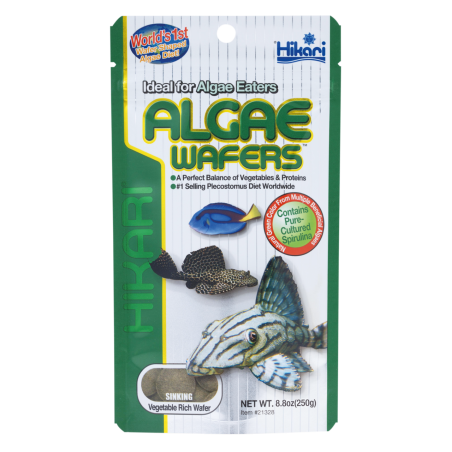 Hikari Algae Wafers 250g vente poissons herbivores