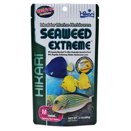 Alimentation poisson eau de mer Wafers aux algues