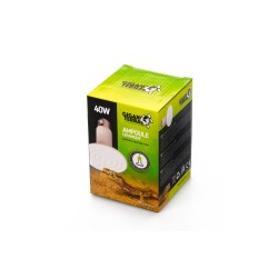 Ampoule céramique GiganTerra 40 W reptiles en vente