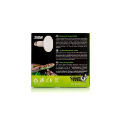 Vente Ampoule céramique 250W reptiles grands terrariums
