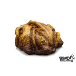 Achat cachette terrarium Liana GiganTerra 29,8 x 24