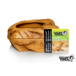 Gamelle vers de farine reptile 14x10 GiganTerra vente