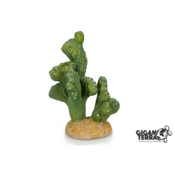 Décoration cactus terrarium aquarium 18 cm achat en ligne
