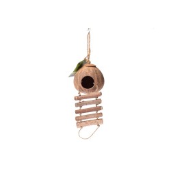 Vente cachette reptile en coco
