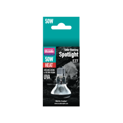 Achat ampoule chauffante pas chère terrarium desertique