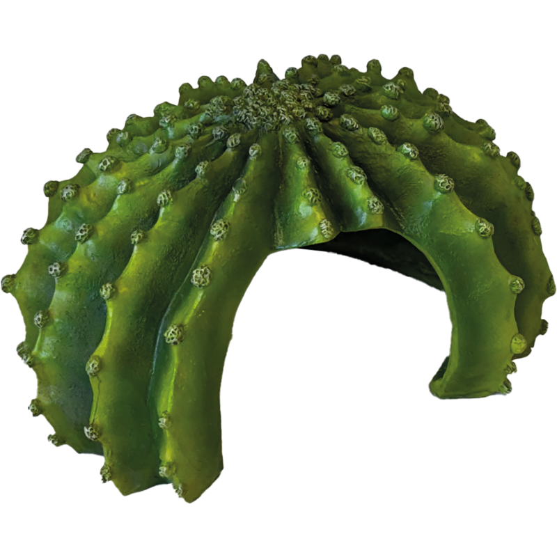 Cachette reptile cactus XL à commander