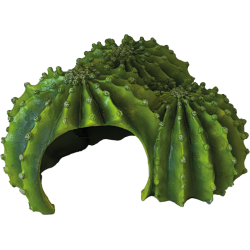 Cachette reptile Repto Deco cactus triple terrarium pas chere