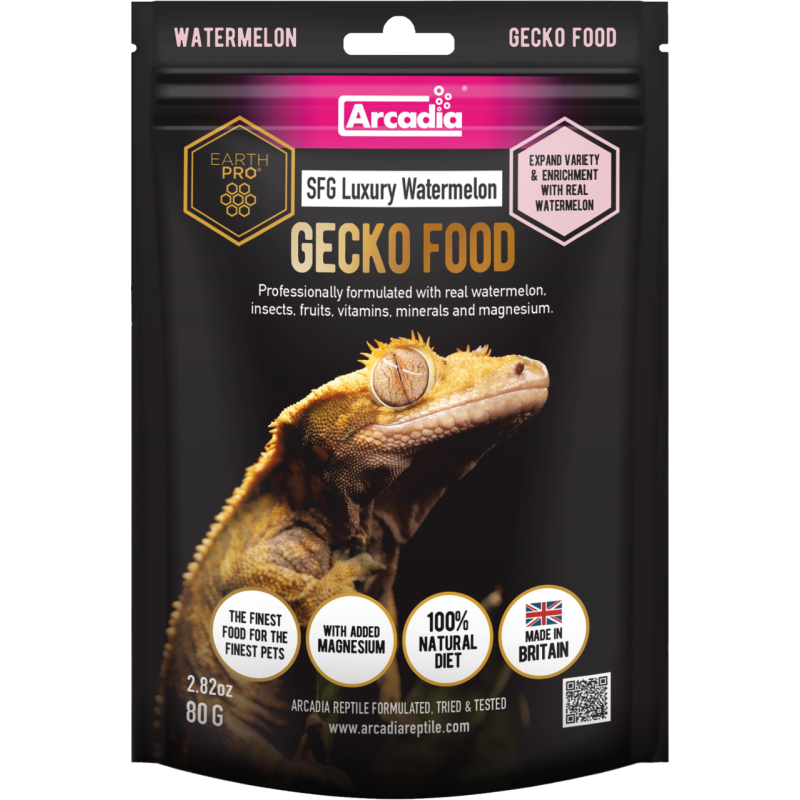 Alimentation pastèque reptile frugivore gecko à crête