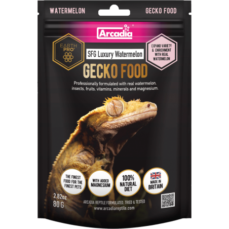 Alimentation pastèque reptile frugivore gecko à crête