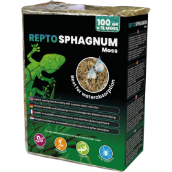 Mousee de Sphaigne pour l'humidité du terrarium