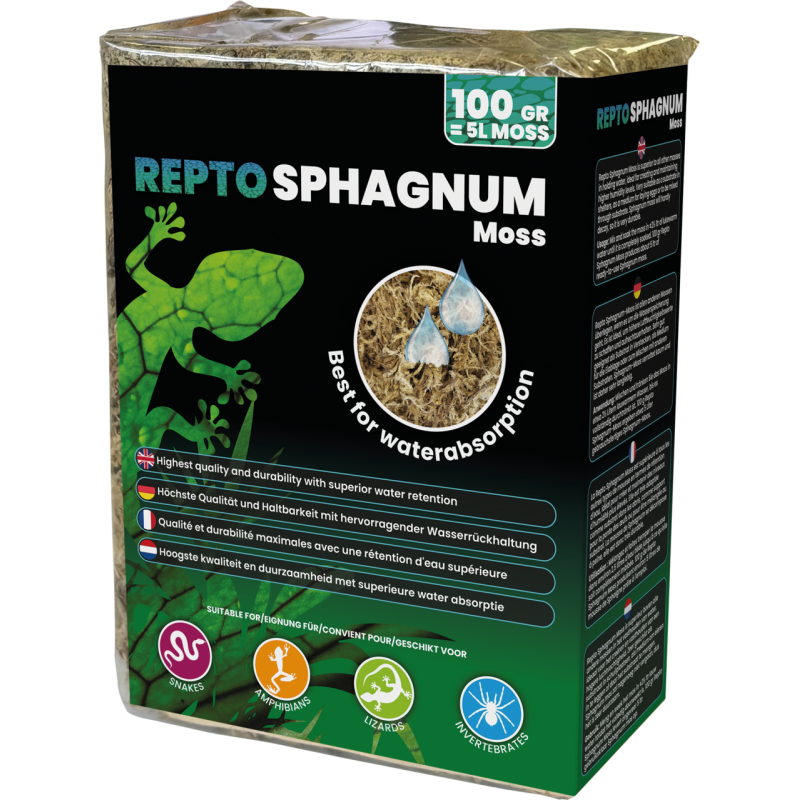 Mousee de Sphaigne pour l'humidité du terrarium