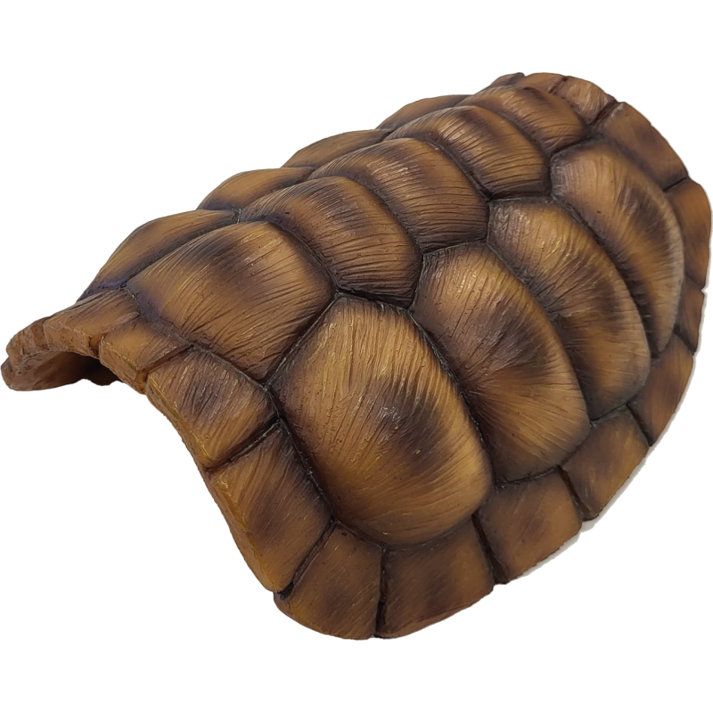 Cachette reptile pour réguler le stress et la températue
