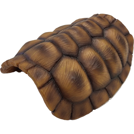 Cachette reptile pour réguler le stress et la températue