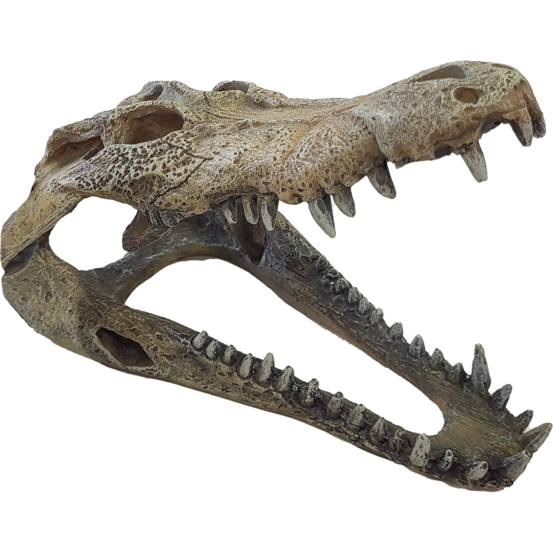 Cachette reptile en forme de gueule de crocodile pour terrarium
