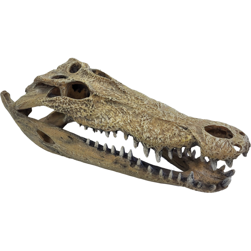 Achat cachette grand reptile Repto Deco Crocodile XXL