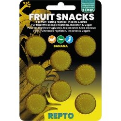 Vente gelée de fruits banaene reptile oiseau