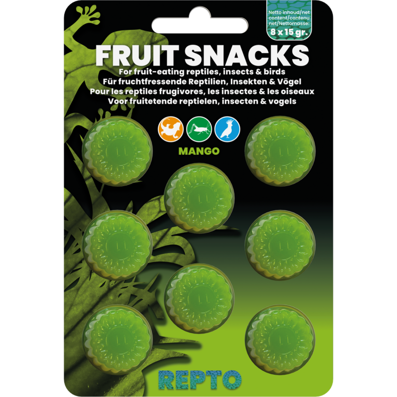 Gelée de manque alimentation reptile insecte oiseau