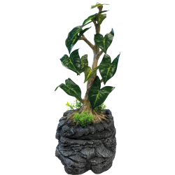 Achat fontaine terrarium Repto Water Dripping Tree