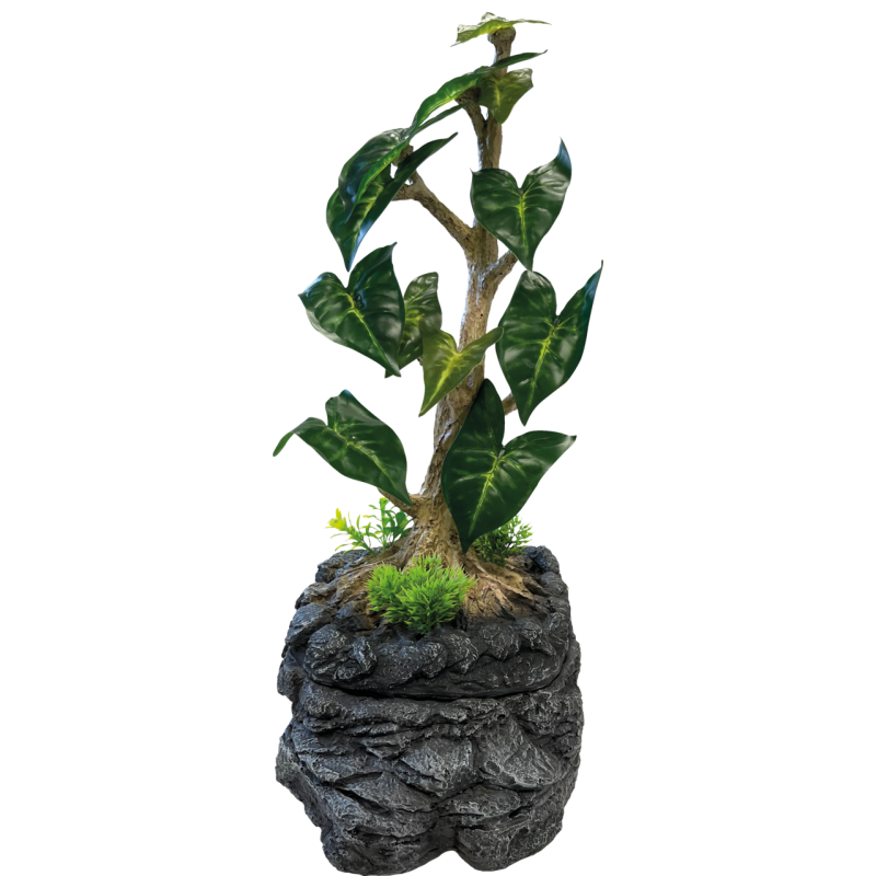 Achat fontaine terrarium Repto Water Dripping Tree