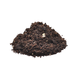 Vente Substrat pour araignée et invertébré Spider Bedding