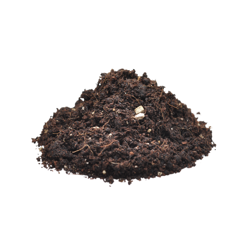 Vente Substrat pour araignée et invertébré Spider Bedding