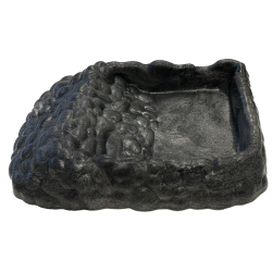 Achat bol à eau tortue serpent reptile Tortoise Dish