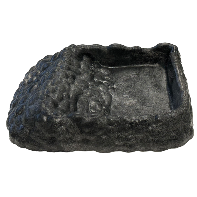 Achat bol à eau tortue serpent reptile Tortoise Dish