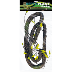 Vente liane décorative reptile terrarium