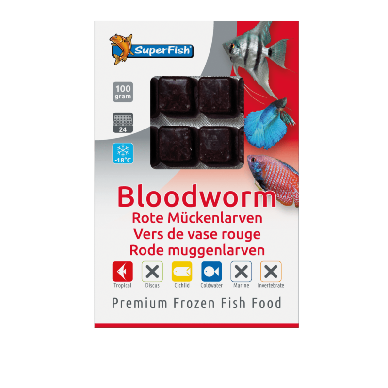 Plaquette de vers de vase rouge 100g