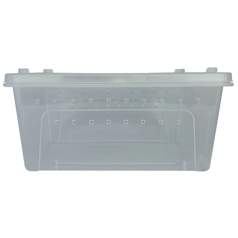 Repto Transport Box : Boîte de transport large pour reptiles et invertébrés