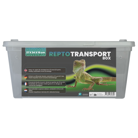 Repto Transport Box : Boîte de transport large pour reptiles et invertébrés