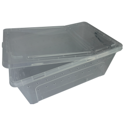 Repto Transport Box : Boîte de transport large pour reptiles et invertébrés
