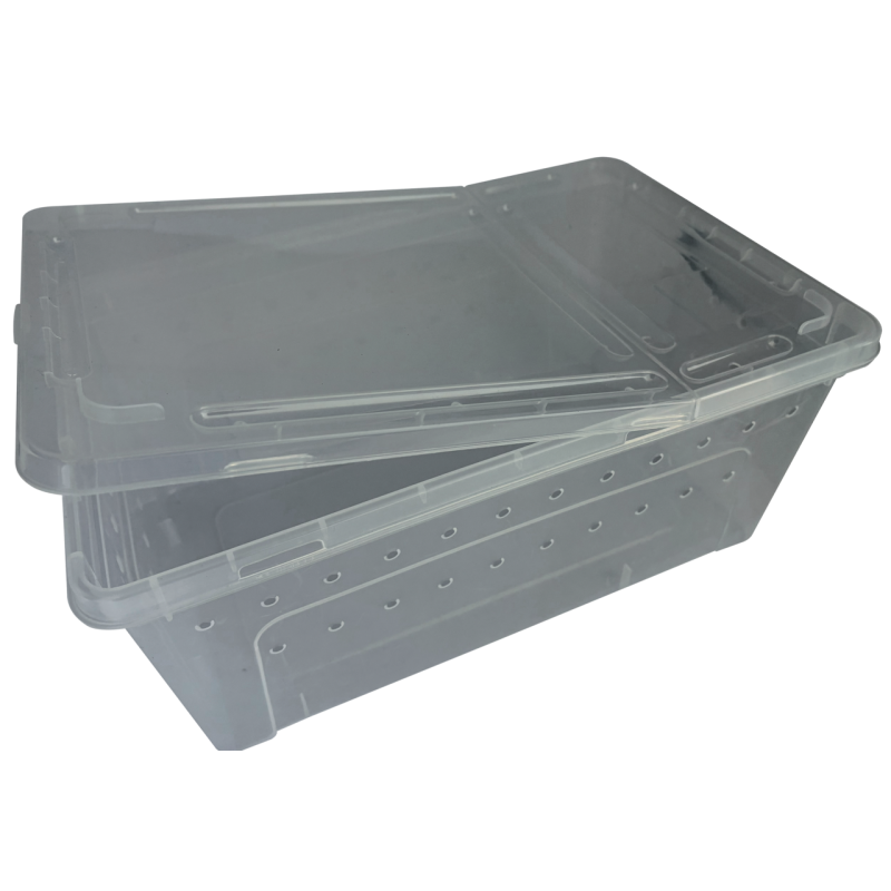 Repto Transport Box : Boîte de transport large pour reptiles et invertébrés