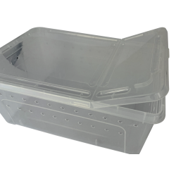 Repto Transport Box : Boîte de transport large pour reptiles et invertébrés