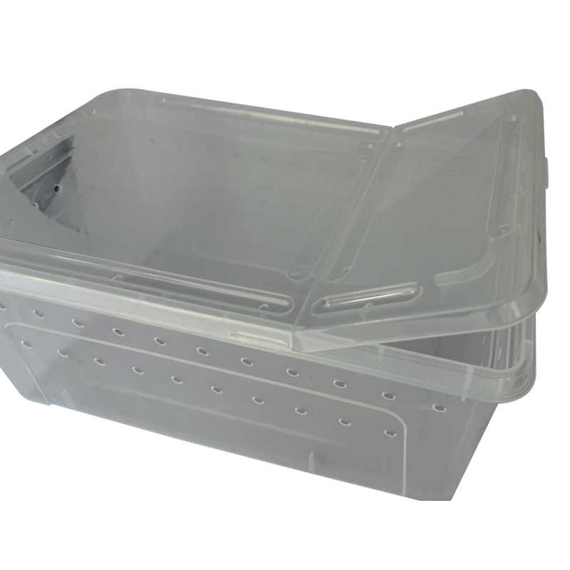 Repto Transport Box : Boîte de transport large pour reptiles et invertébrés