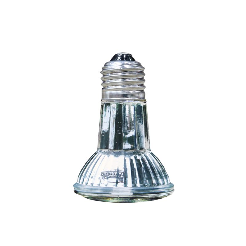 Lampe chauffante Arcadia 50W Halogène Point chaud pour reptiles