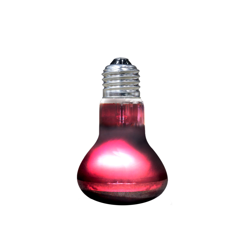 Achat Lampe infrarouge terrarium Arcadia 75W reptile