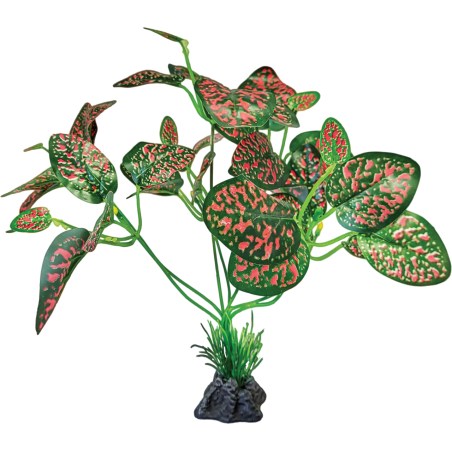 Plante terrarium debout rouge/verte 32x21x29cm