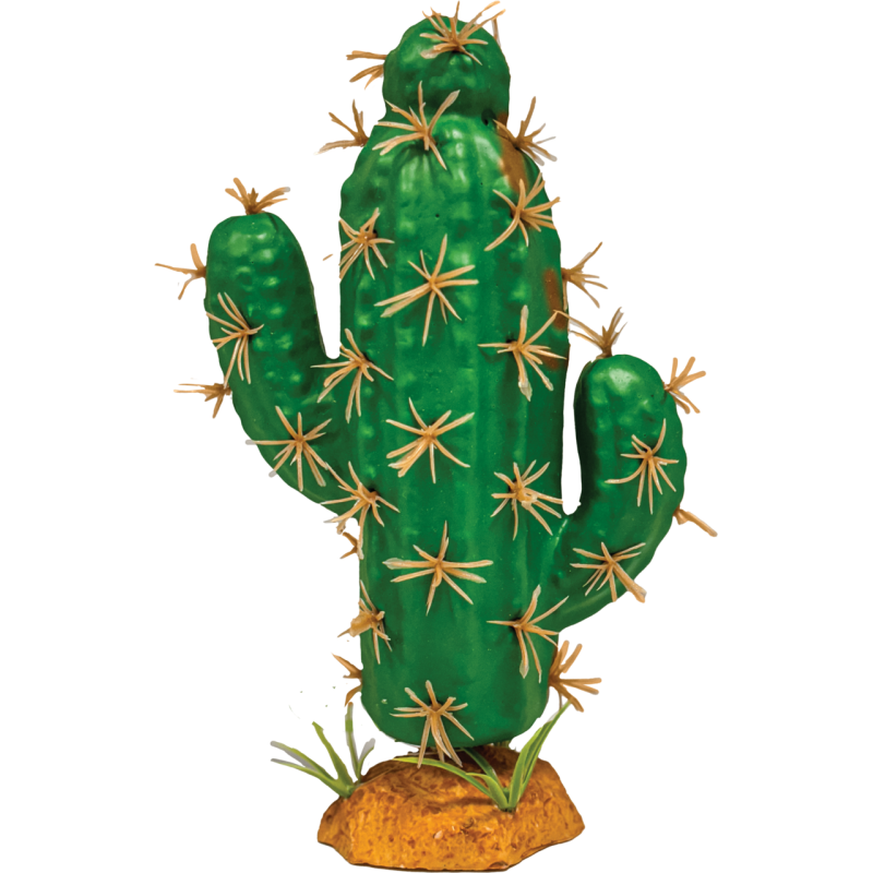 Plante terrarium Cactus trident XL 14x7x21cm
